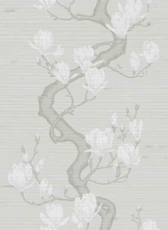 Cole & Son Carta da parati Magnolia Tree Silk - Raw Slub Silk/ Soft Cream and Powder