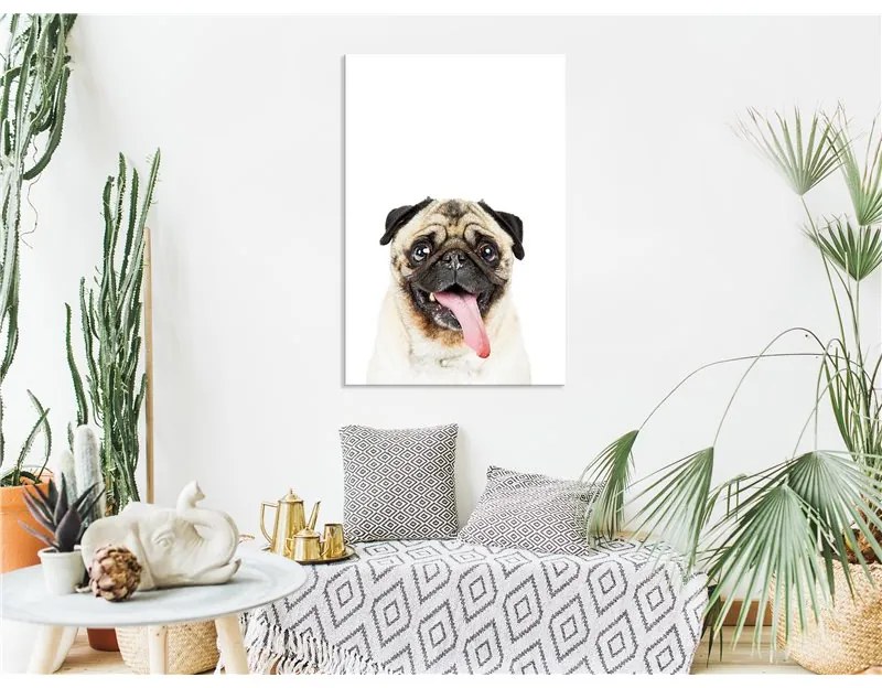 Quadro Pug (1 Part) Vertical  Colore Bianco, Dimensioni e Misure 40x60