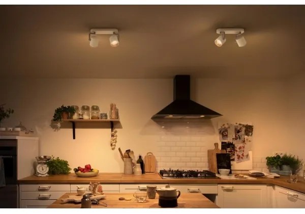 Philips 50672/31/P0 - Luce Spot a LED dimmerabile BYRL 2xLED/4.5W/230V