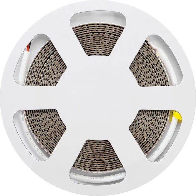 Striscia LED 24V 25W/m Altissima Luminosità Professionale - IP20 - 5 metri