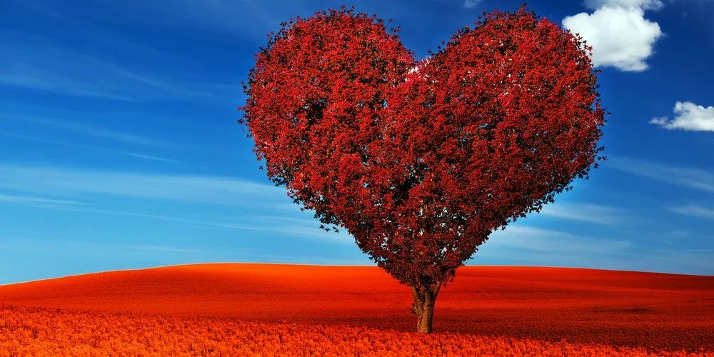 Quadro su tela – Albero stupendo a forma di cuore
