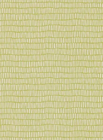 Scion Tocca - Kiwi