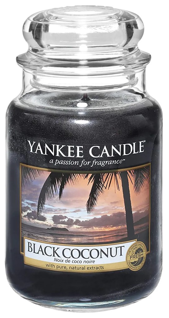 Black Coconut, candela in giara grande Yankee Candle