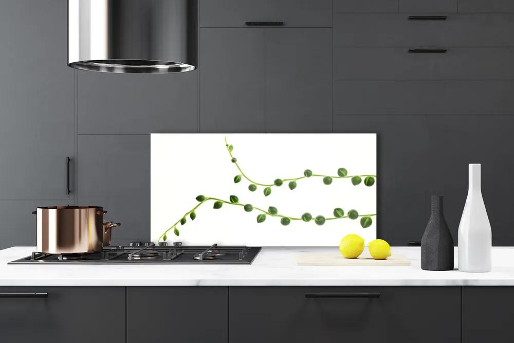Pannello cucina paraschizzi Pianta decorativa 100x50 cm