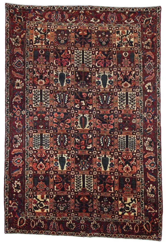 Bakhtiar Tappeto 210 x 310 (Iran)
