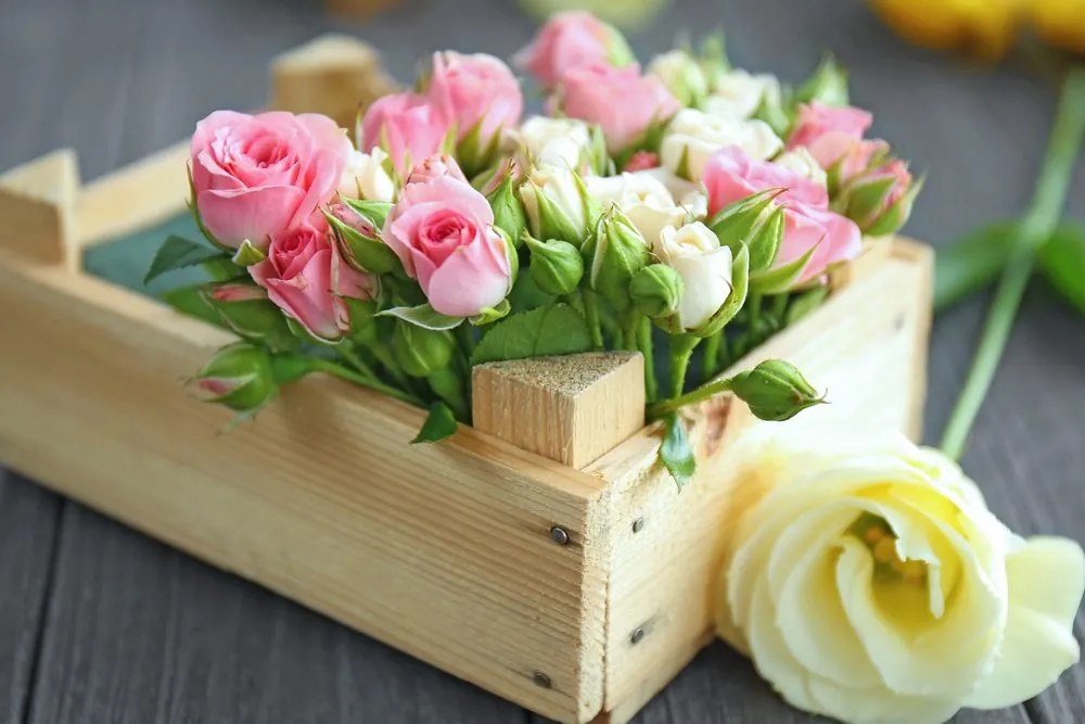 Stampa su tela – Composizione floreale delicata