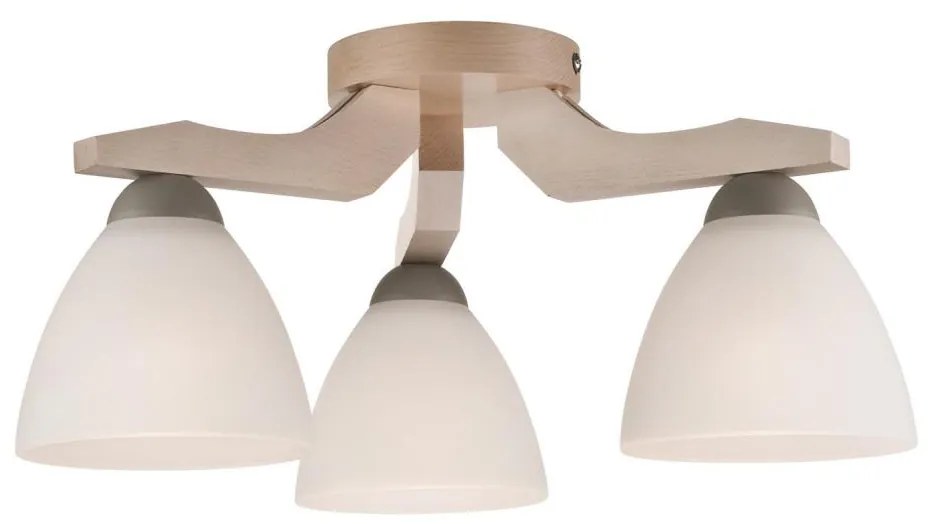 Lampadario ADRIANO 3xE27/60W/230V a plafone