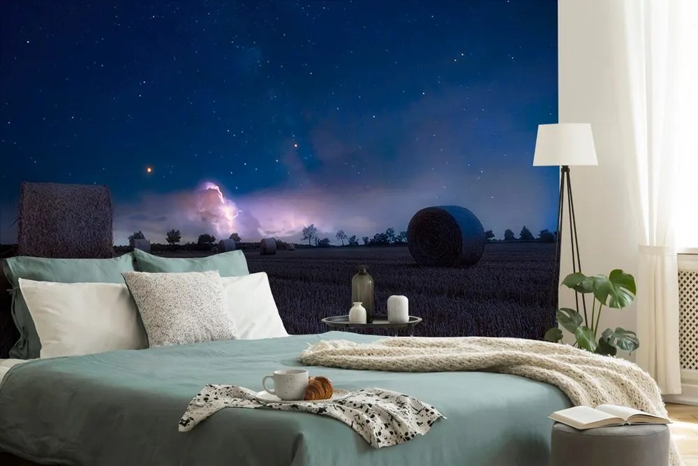 Carta da parati – Fieno al chiaro di luna