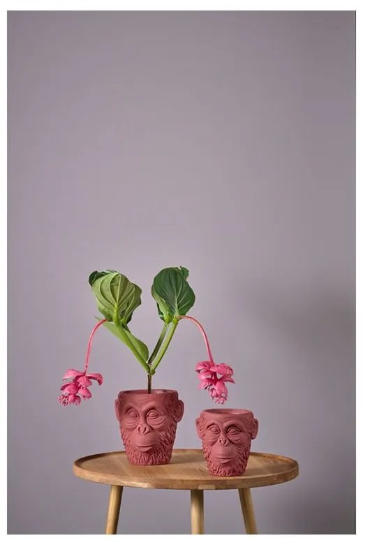 Coprivaso in cemento ø 22 cm Calbe - Villa Collection