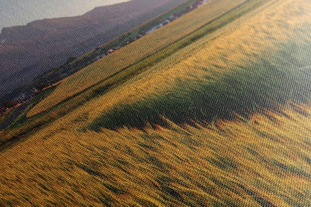 Stampa su tela – Tramonto su campo di grano
