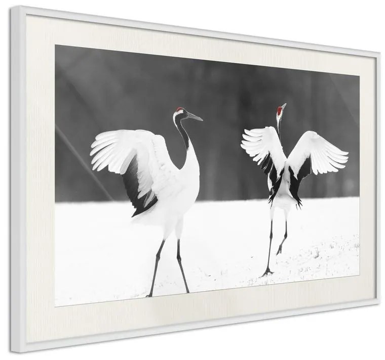 Poster  Bird Date  Cornice Quadri Cornice nera con pass-partout, Larghezza x Altezza Home decor 30x20