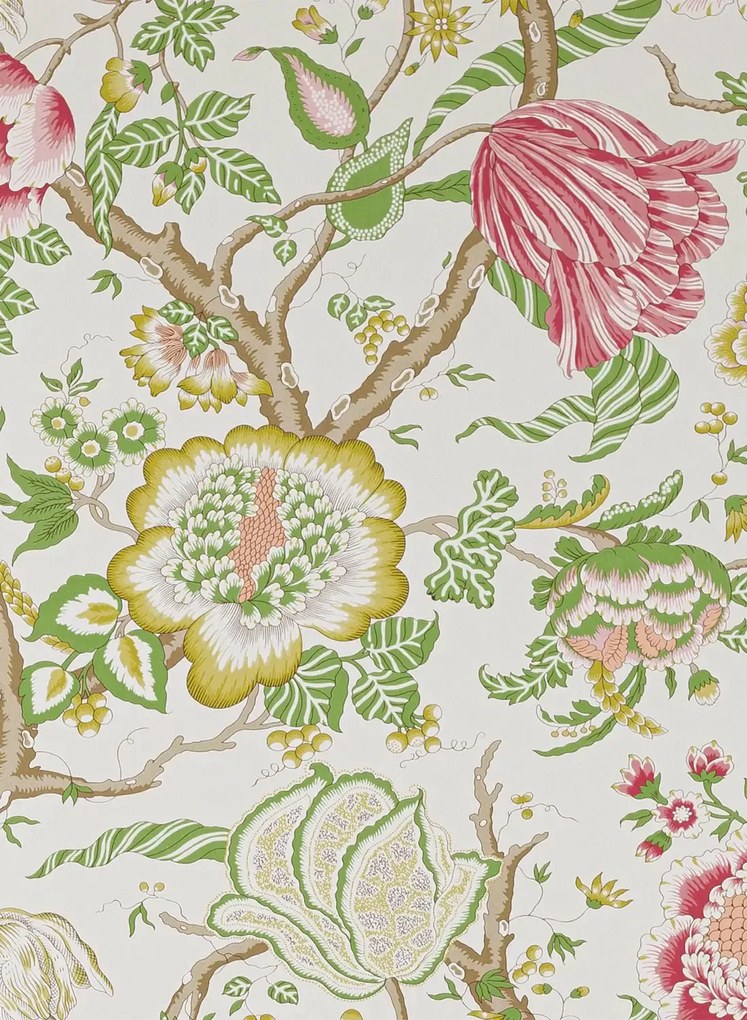 Manuel Canovas Carta da parati Brahmane - Laurier