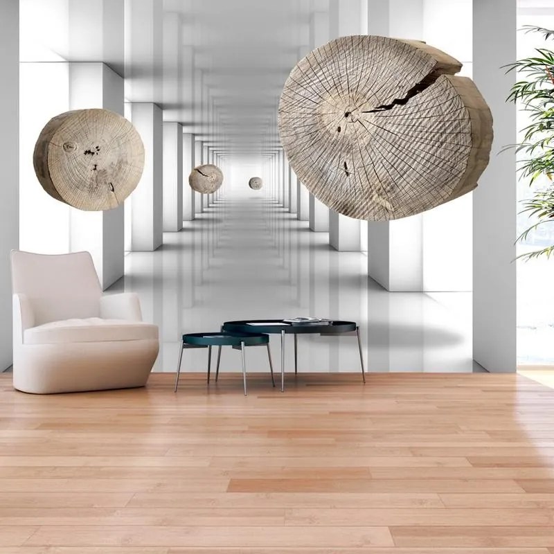 Fotomurale adesivo  Inventive Corridor  Larghezza x Altezza Home decor 294x210