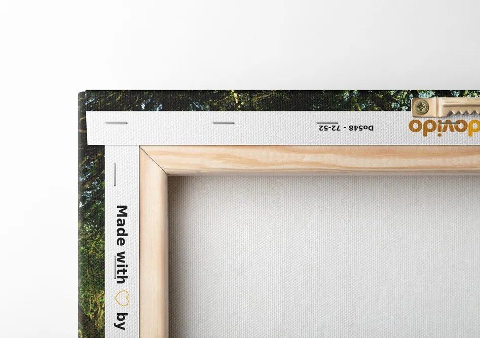 Quadro su tela – Foresta da fiaba
