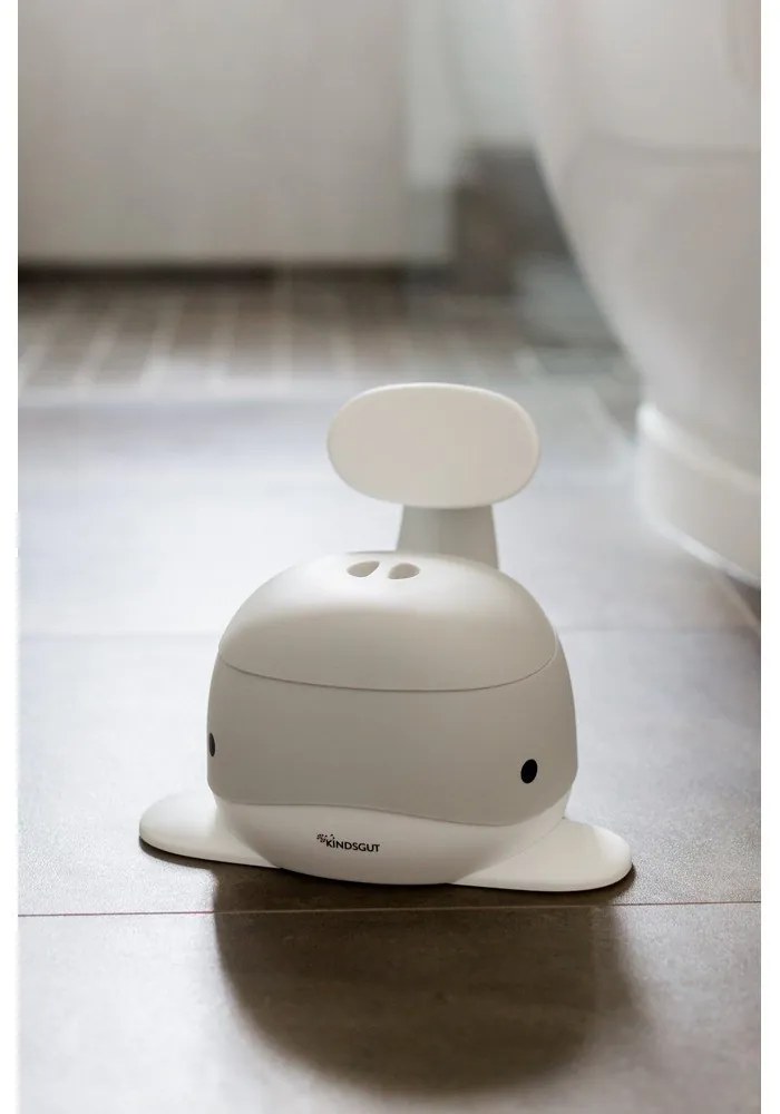 Vasino grigio - Kindsgut