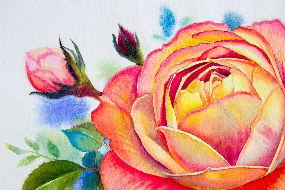 Carta da parati autoadesiva – Rose disegnate