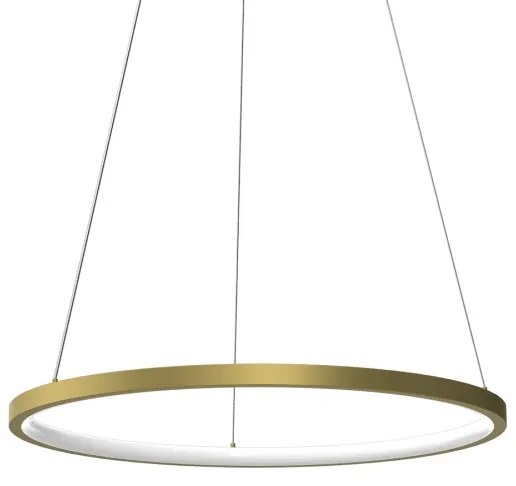 Lampadario LED a sospensione con filo HOOP LED/27W/230V diametro 50 cm 4000K oro