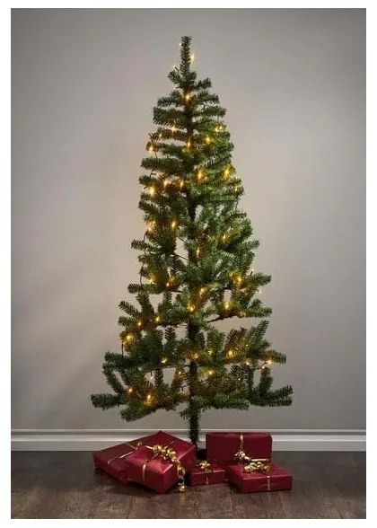 Eglo 410822 - Catena luminosa natalizia LED da esterno GOLDEN 80 LED 10,5m IP44, bianco caldo