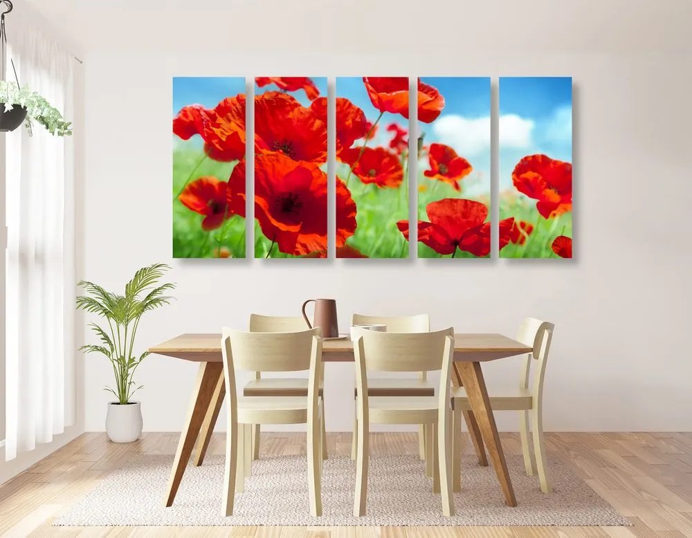 Quadri 5 pezzi – Fiori di papavero nel prato
