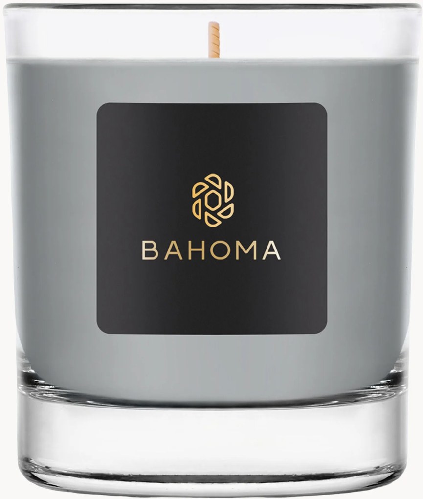 Candela profumata fatta a mano Ash (eucalipto, mirtillo nero)