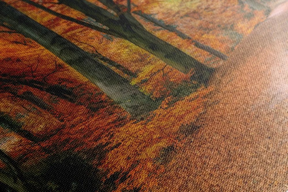 Stampa su tela – Foresta in autunno