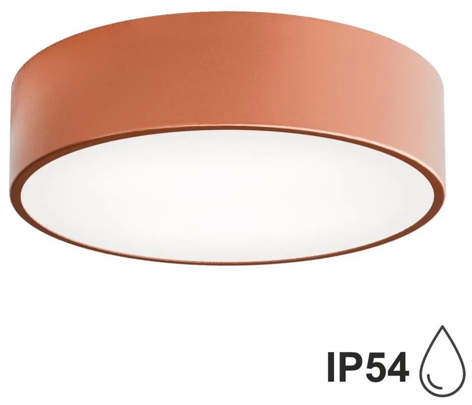 Plafoniera bagno CLEO 2xE27/24W/230V d. 30 cm rame IP54