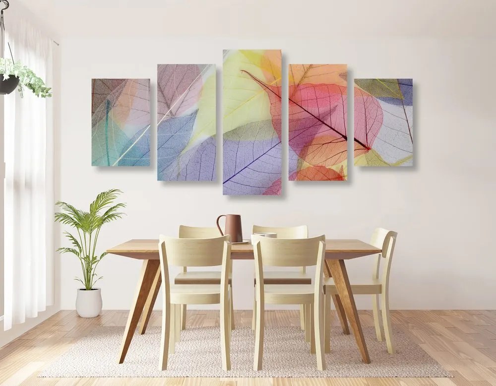 Quadri 5 pezzi – Venature su foglie colorate