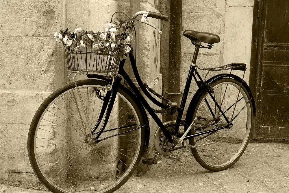 Stampa su tela – Bicicletta rustica in seppia