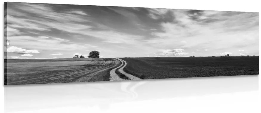 Quadro su tela – Paesaggio incantevole in bianco e nero