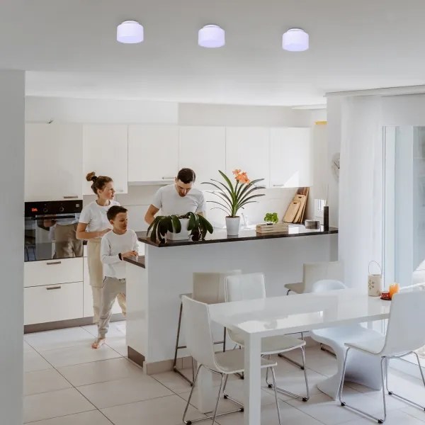 Rabalux 71325 - Plafoniera LED OVIDIA 24W/230V 3000K bianco