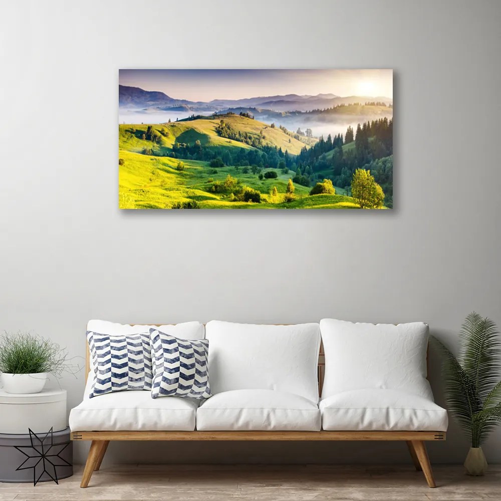 Quadro su tela Nebbia Campo Montagna Natura 100x50 cm