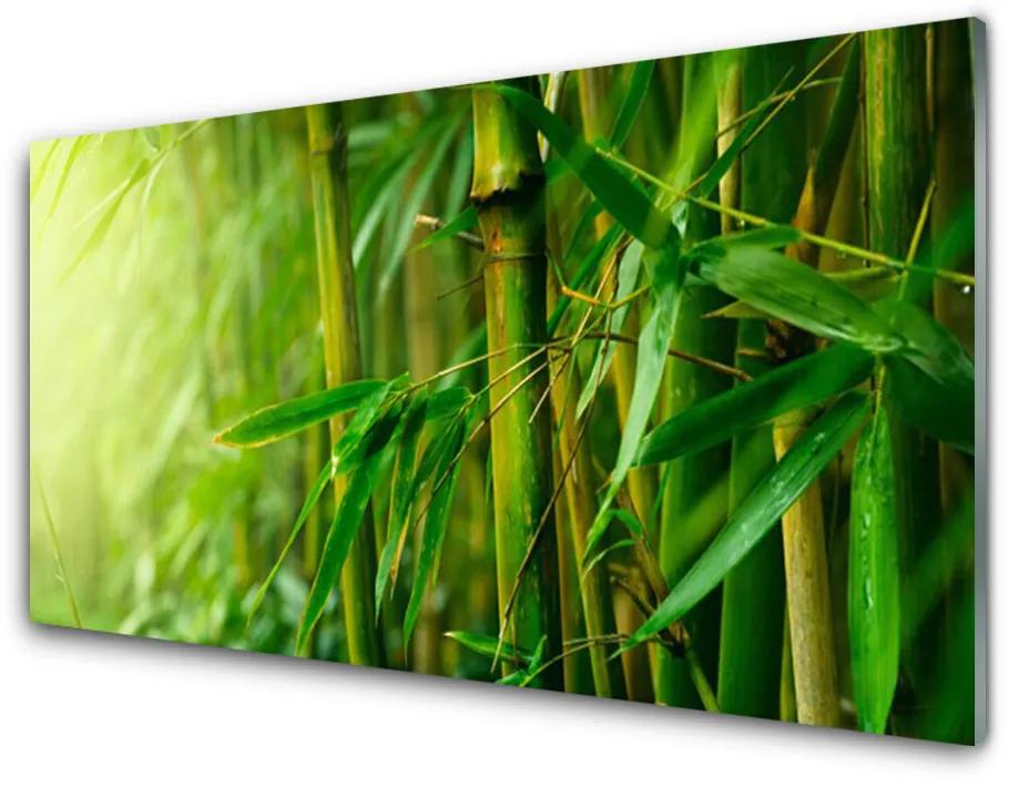 Quadro su vetro Pianta a stelo di bambù 100x50 cm