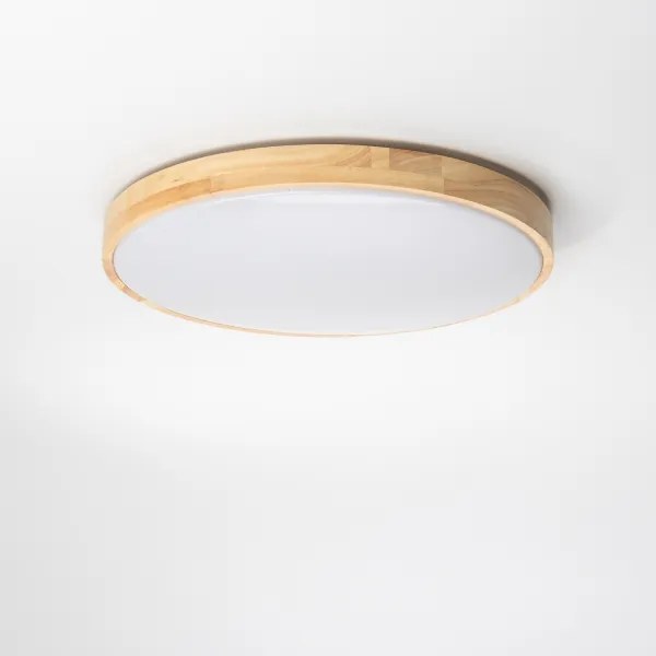 Brilagi - Plafoniera LED dimmerabile PINE LED/24W/230V + telecomando