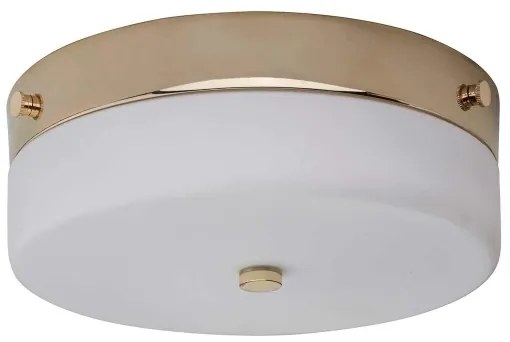 Elstead TAMAR-F-M-PG-Plafoniera LED da bagno TAMAR 1xGX53/5,7W/230V IP44