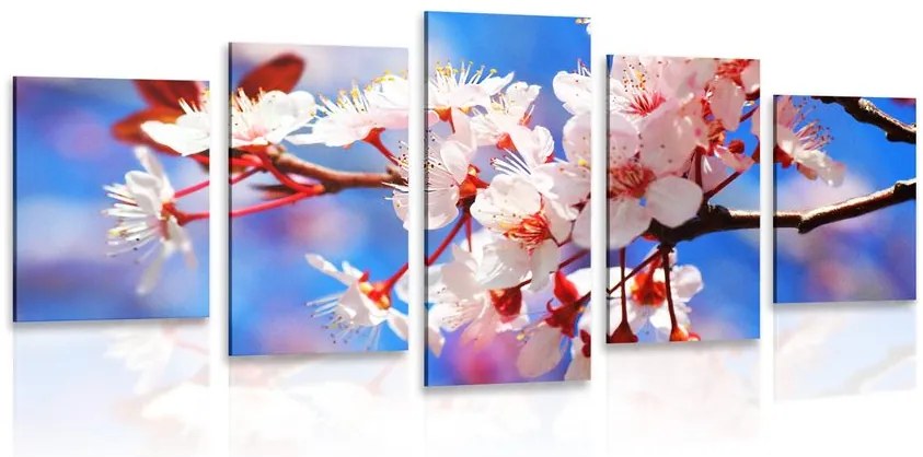 Quadri 5 pezzi – Fiore di ciliegio
