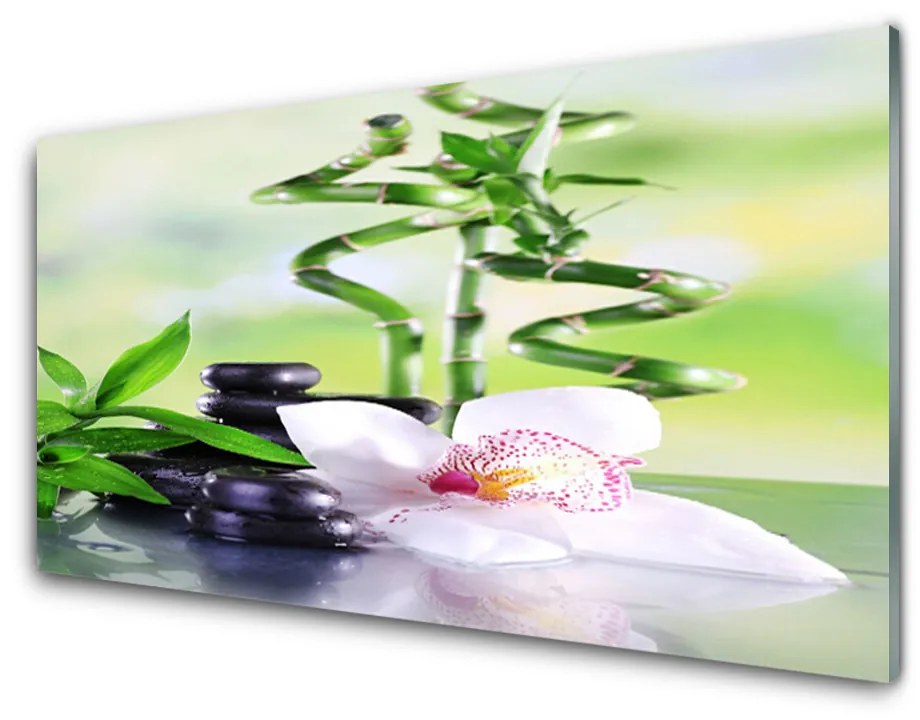 Quadro acrilico Orchidea Bamboo Zen Spa 100x50 cm