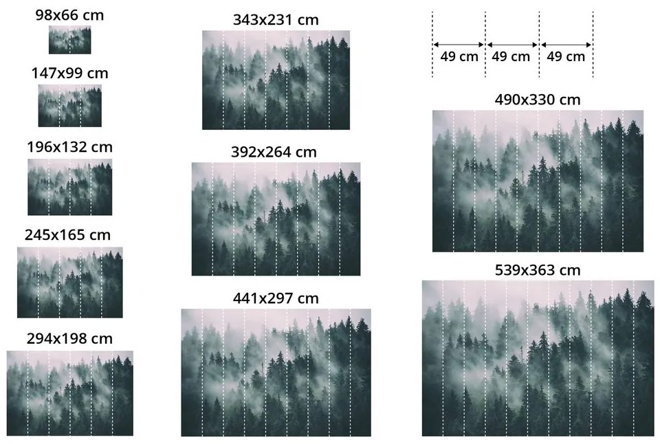 Carta da parati autoadesiva – Foresta nella nebbia in bianco e nero