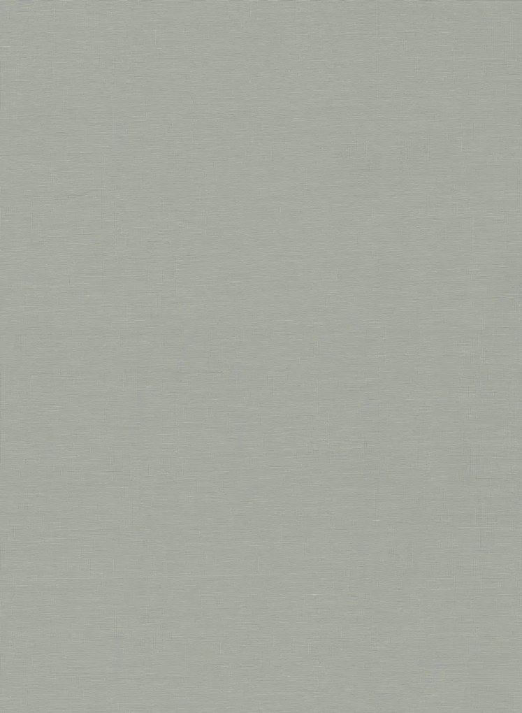 Armani Casa Tapete Plain Oberon - 9080