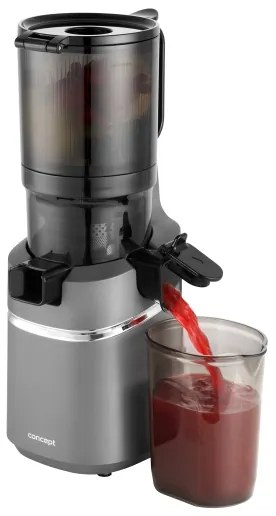 Concept LO7120 - Spremiagrumi lento JUICY 250W/230V grigio