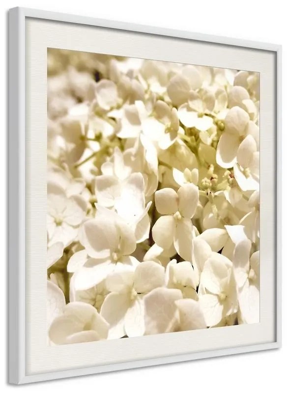 Poster  Soothing Flowers  Cornice Quadri Cornice d'oro, Larghezza x Altezza Home decor 50x50