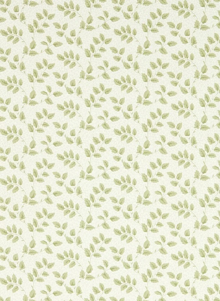 Sanderson Carta da parati Tomato Leaf - Leaf Green