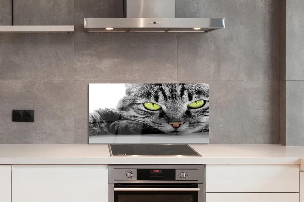 Pannello paraschizzi cucina Gatto grigio e nero 100x50 cm