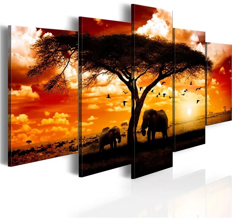 Quadro Uccelli sopra la savana  Colore Rosso, Dimensioni e Misure 100x50