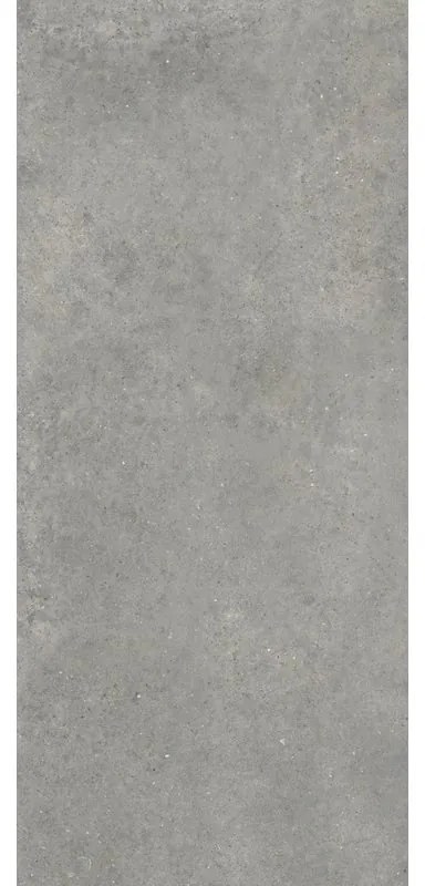 Piastrella da rivestimento interno ed esterno rettificato arcade grigio 120x280 nat rett in gres porcellanato satinato grigio 120 x 280 cm Sp. 6 mm traffico medio forte (pei 3/5) R10 3.36 mq