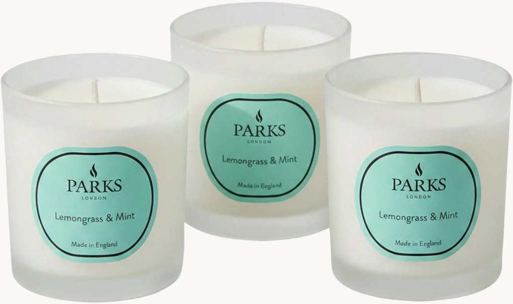 Set di 3 candele profumate fatte a mano Vintage Aromatherapy (citronella, menta e agrumi)