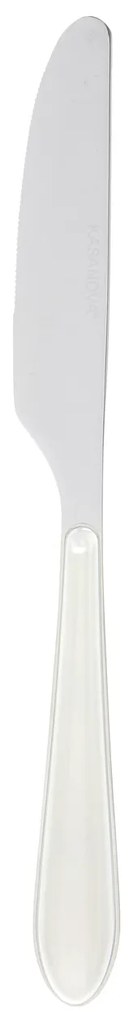 Coltello In acciaio