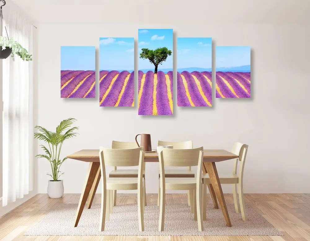 Quadri 5 pezzi – Campo di lavanda provenzale