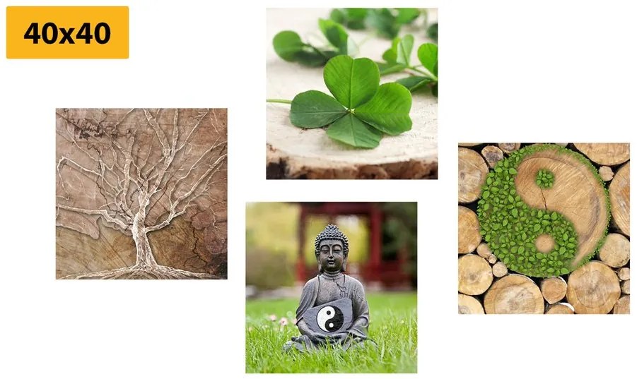Set di quadri – Feng Shui con elementi naturali