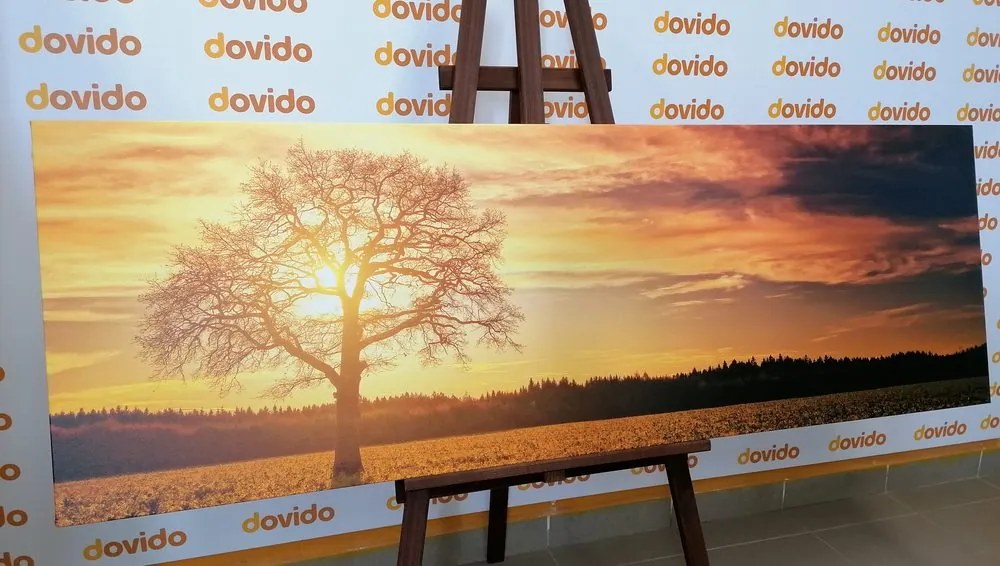 Quadro su tela – Albero solitario