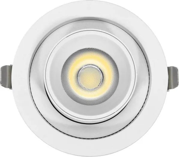 Faro LED da Incasso 15W Orientabile CCT Bianco Variabile Foro Ø100mm Colore Bianco Variabile CCT